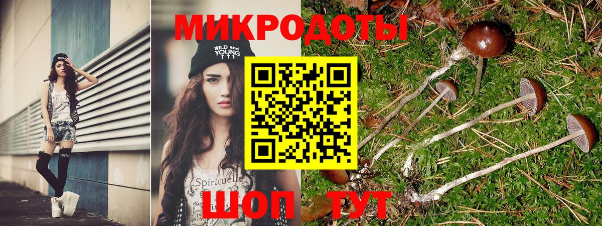 Псилоцибиновые грибы Psilocybe  Галлюциногенные грибы ЛСД  Канск  Вход с VPN 