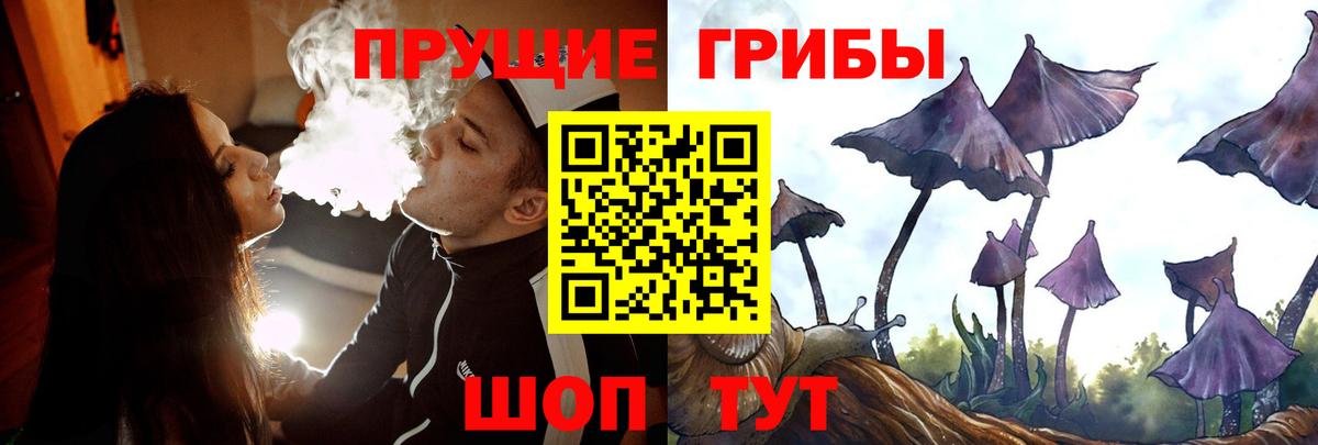 Галлюциногенные грибы мицелий Канск