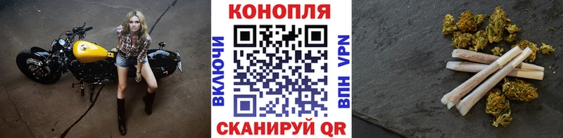 мега онион  наркотики  Канск  Конопля марихуана 